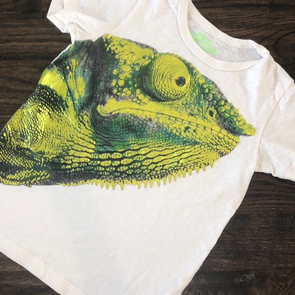 J. Crew Other - Crewcuts Print Tee